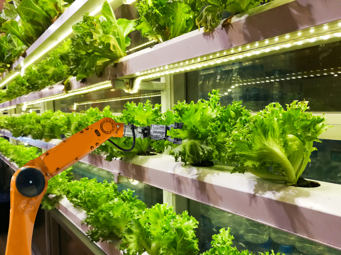 Crop One Launches Opportunity Zone Fund for Vertical Farm Development