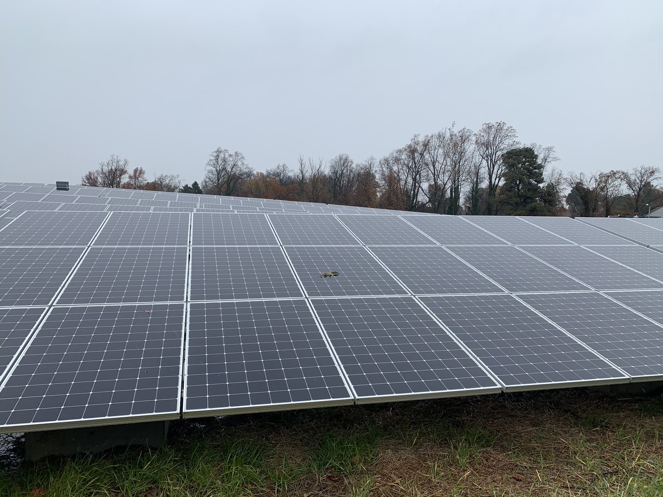 Greenbacker Opportunity Zone Fund Completes First Solar Project