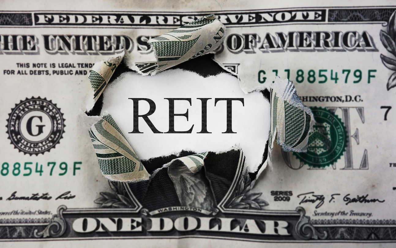 Non-Traded NAV REITs Reportedly Outperform Traded Counterparts